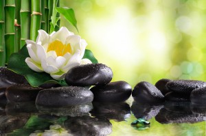 Water lily on lots of black stones reflected in water in nature. With bamboo and green background bokeh. Concept of calm and relaxation. Alternative treatments massage balance and meditation. Horizontal composition.