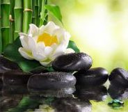 Weight Management and Nutrition